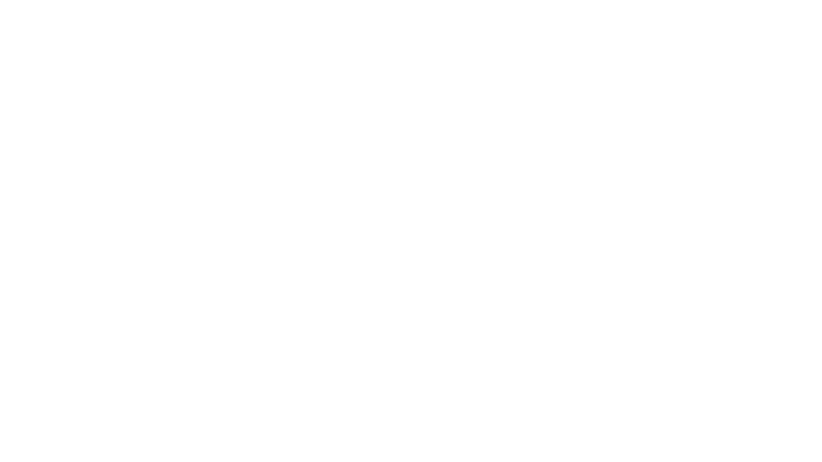 Burnthouse white logo.