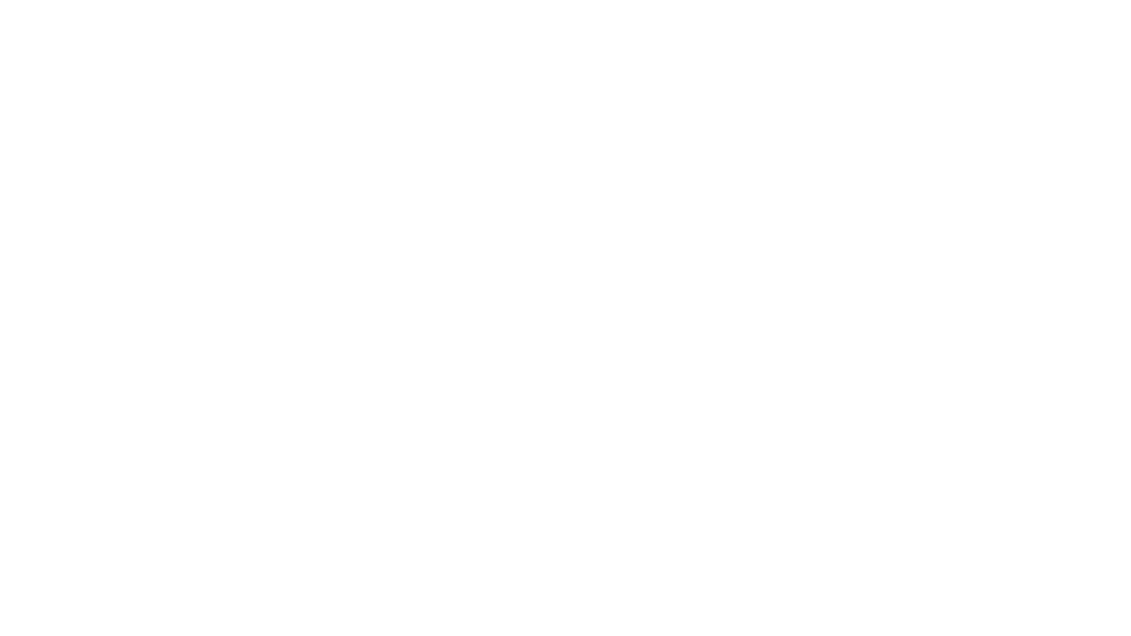 Buzz Interactive logo in white.