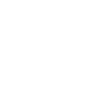 Cornwall Slush'd logo.