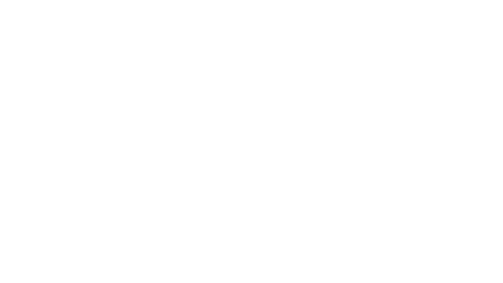 D Orbit logo.