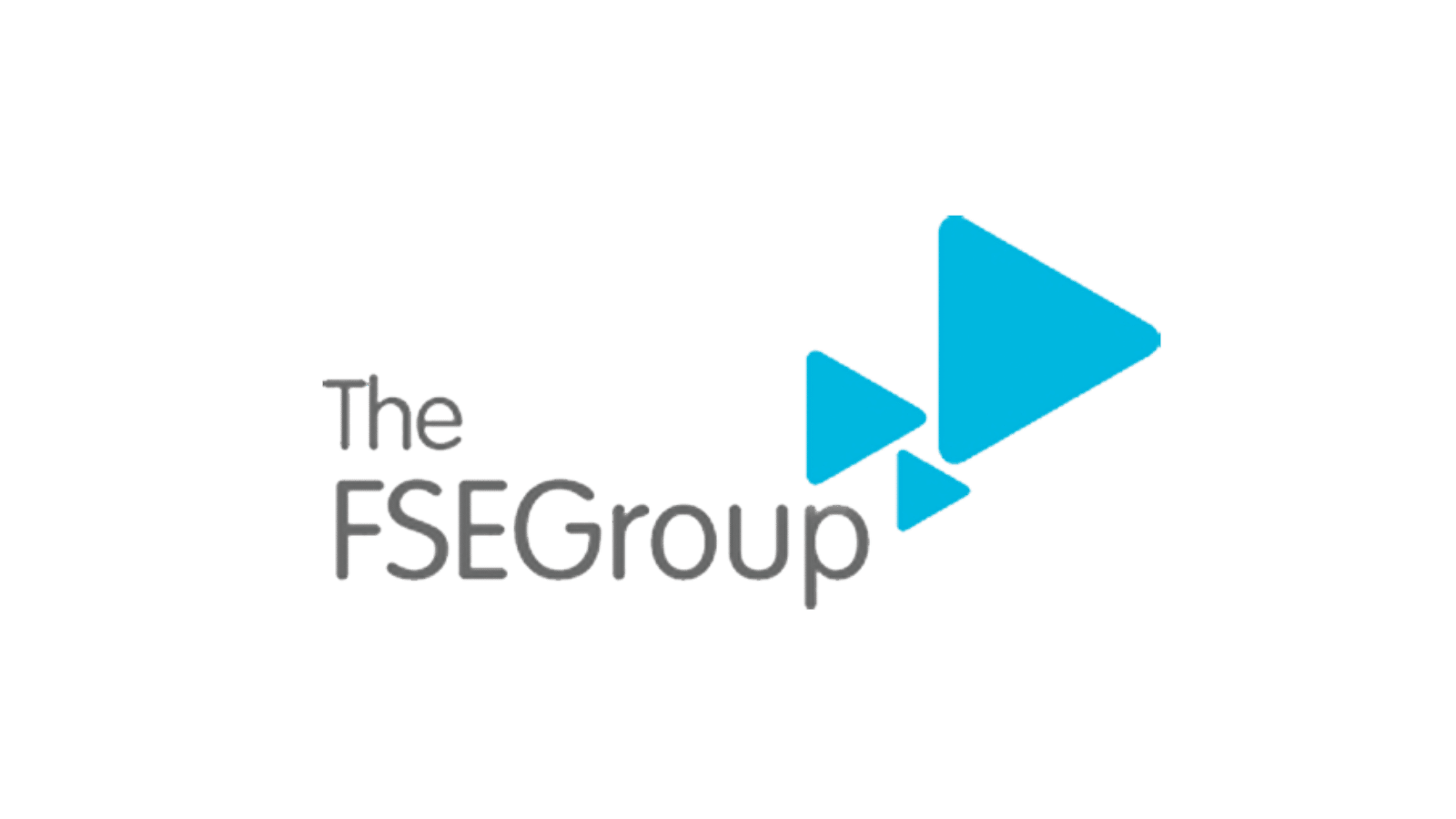 FSE Group logo.