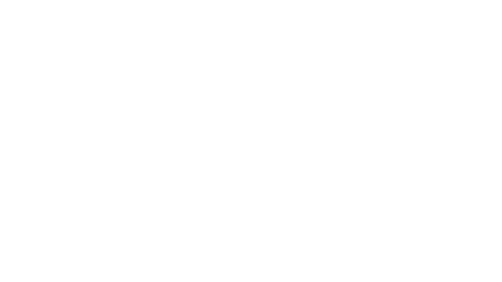 FSE Group white logo.