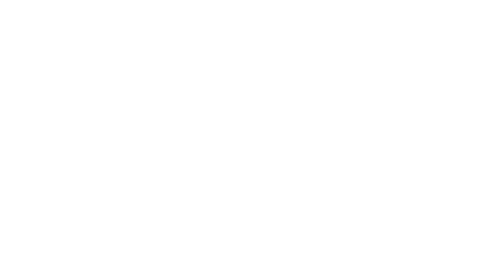 N Bora logo in white.