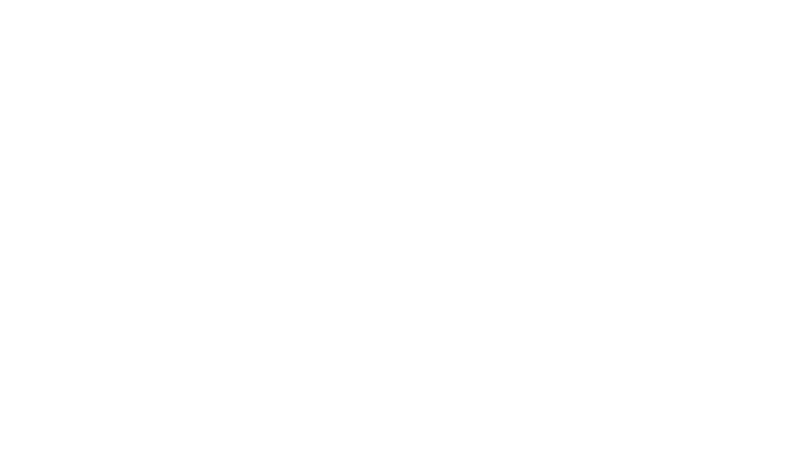 Sanders white logo.