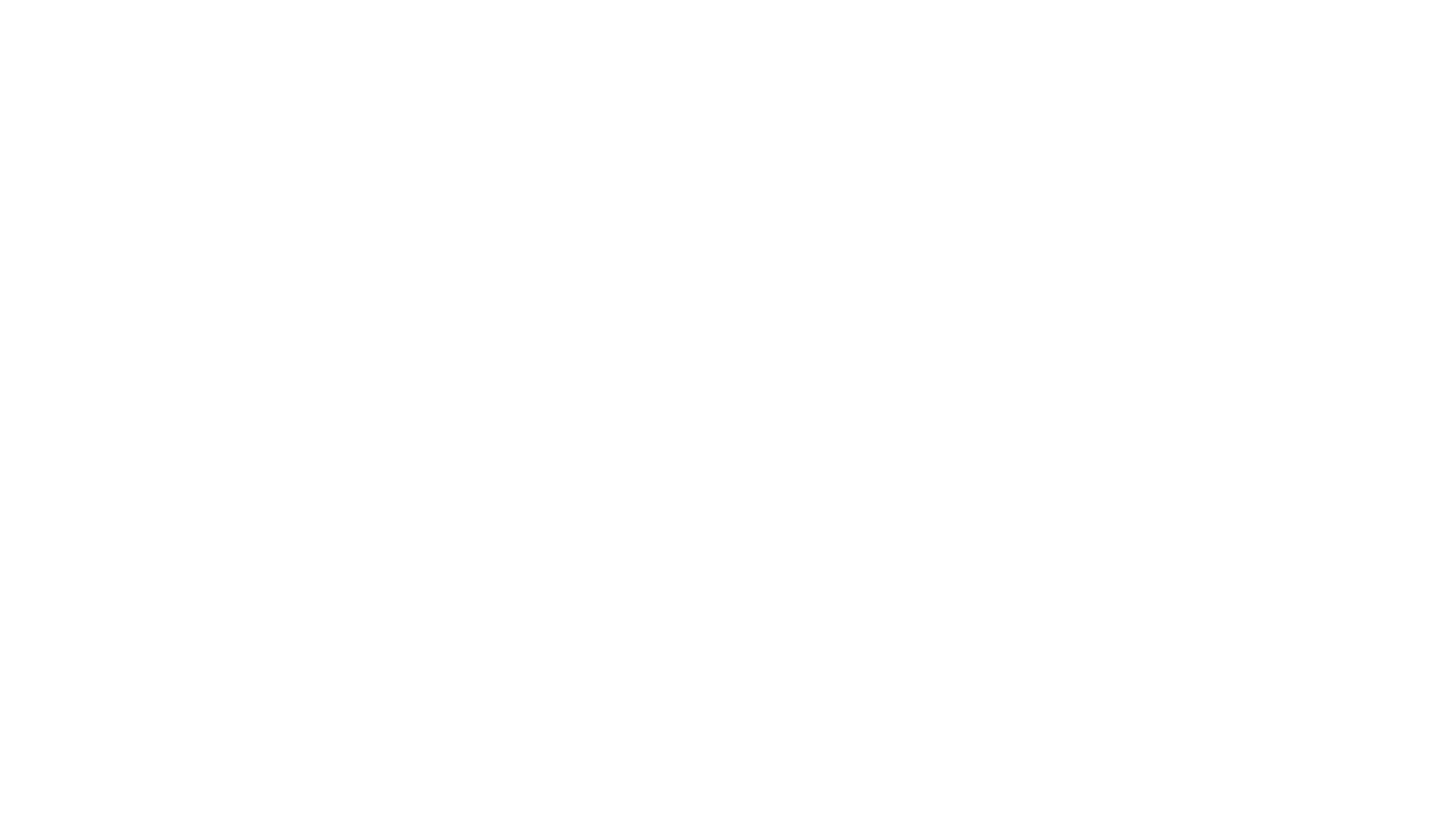 Secure site white logo.