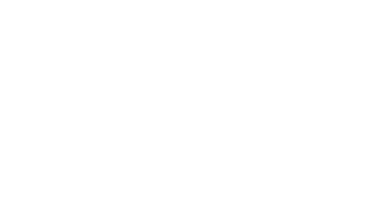 Solve white logo.