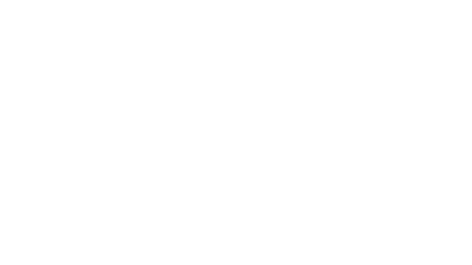 Swavish software white logo.